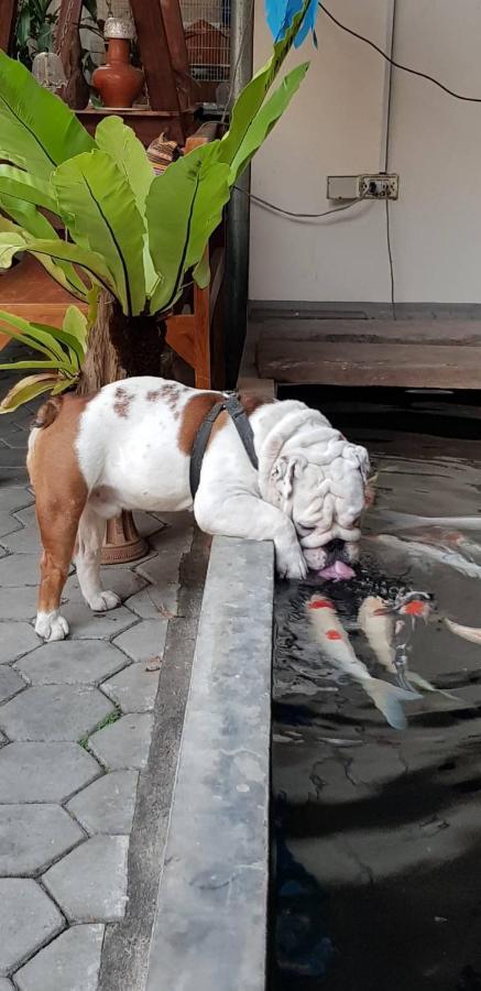 Bed and Breakfast Gordnuea Boutique House Chiang Mai Esterno foto